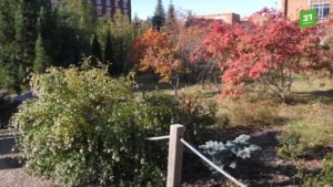 Ботанический сад