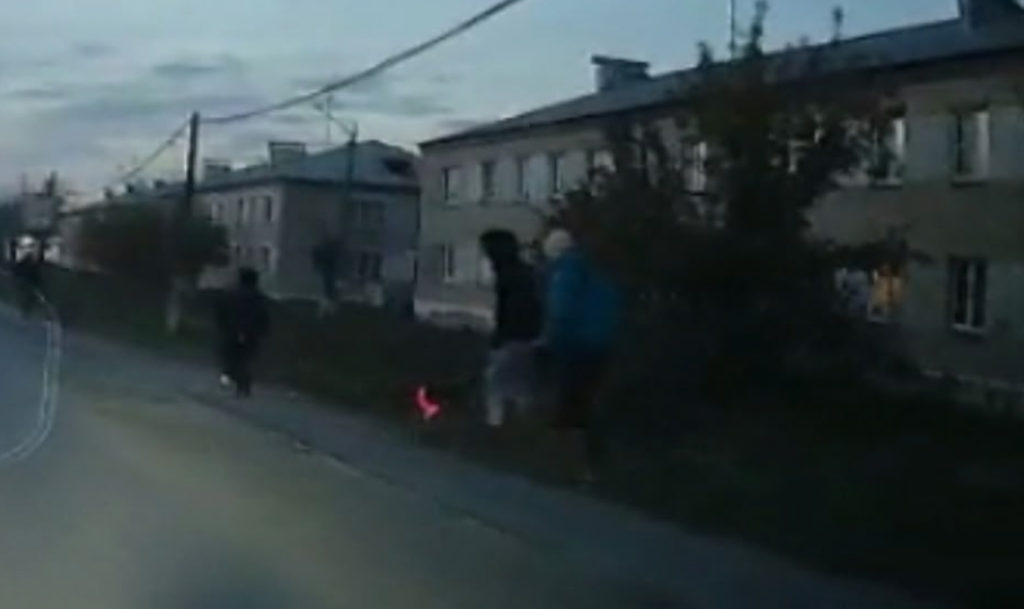 Когда ваша собака безопасна только для вас! Чужой пес перепугал ребенка