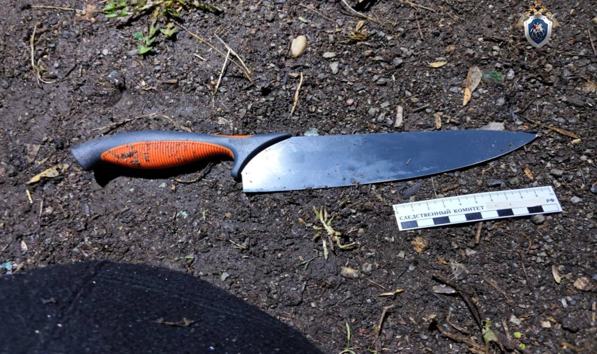 Безумца, который, словно кусок мяса, исполосовал ножом 11-летнего мальчика, отправят лечится?