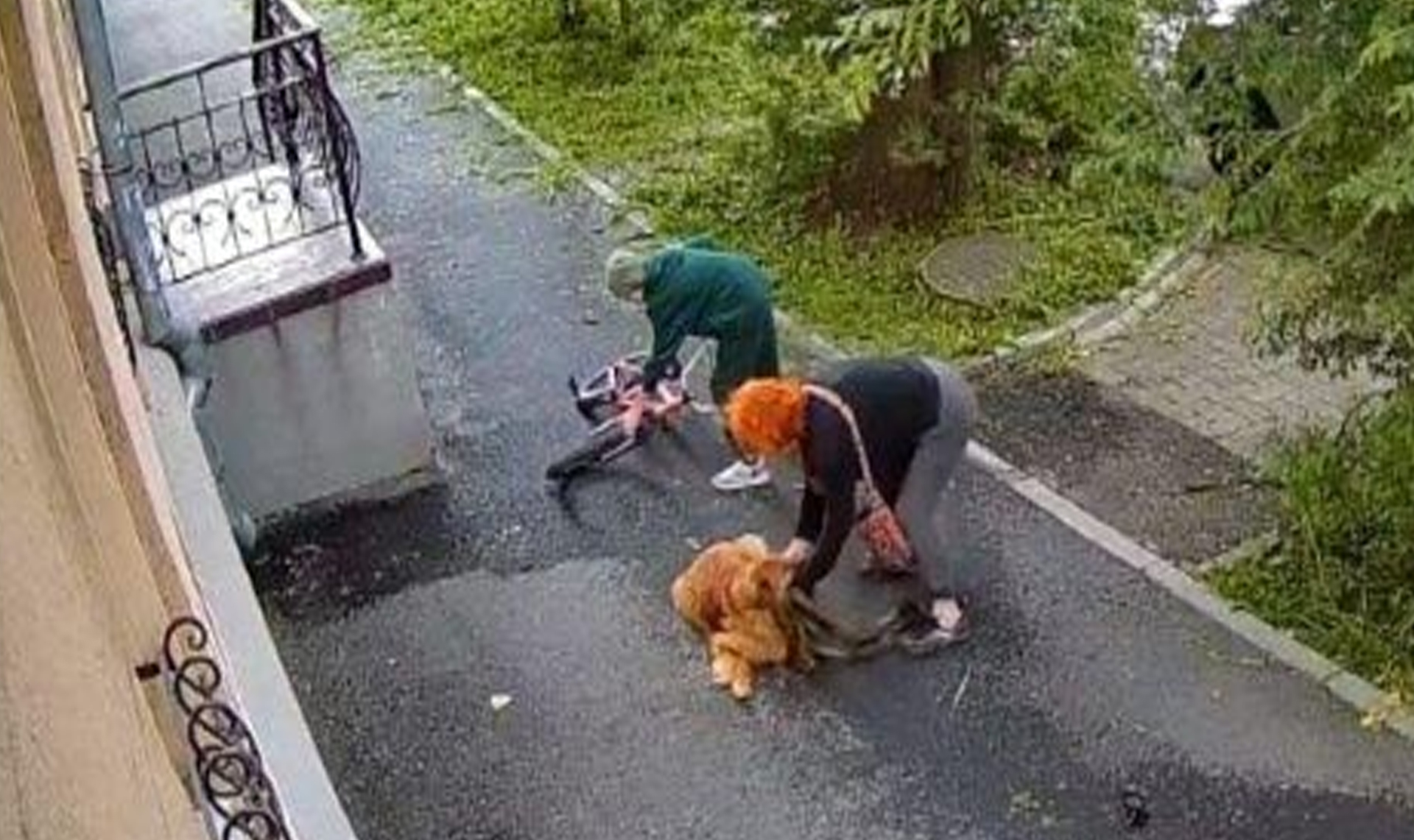 В 40 тысяч рублей оценили травму ребенка, которого покусала собака