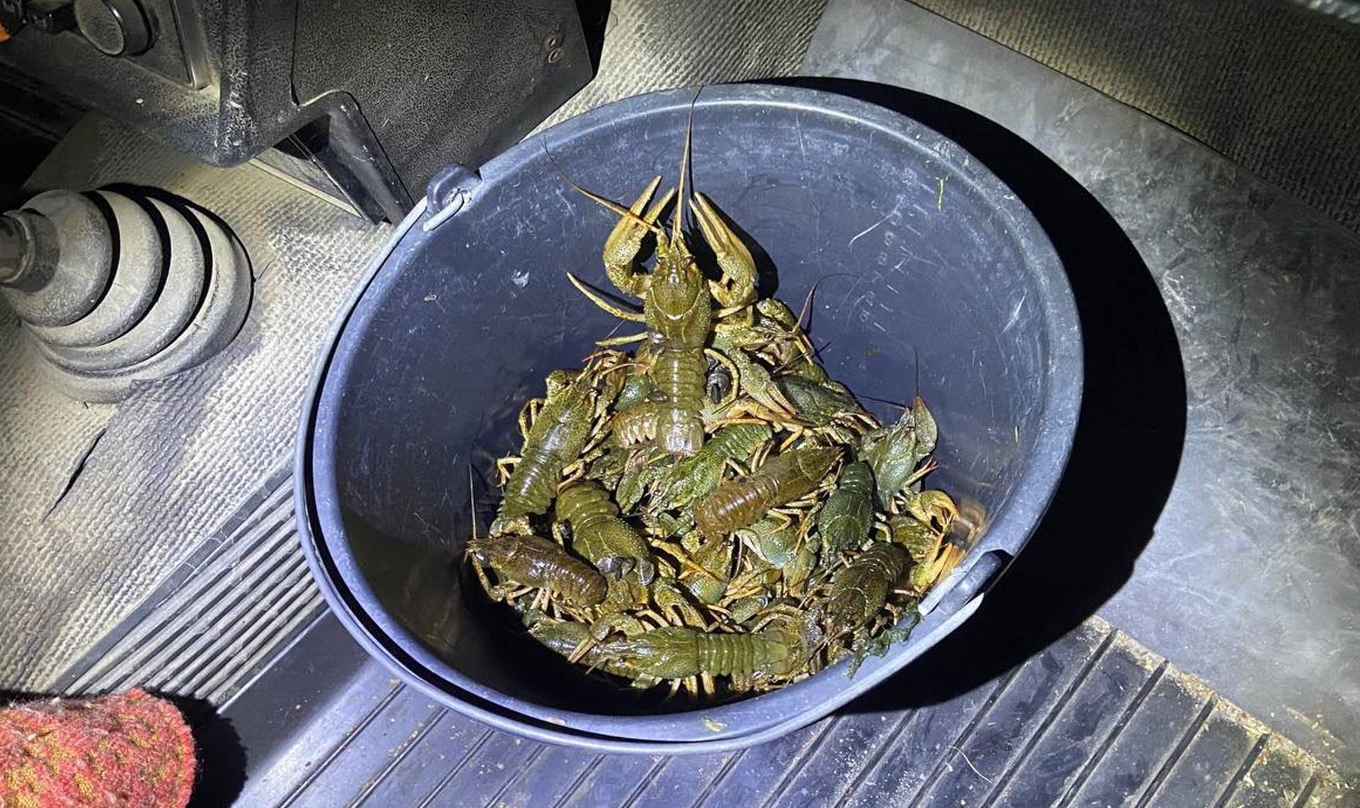 Рыбалка на Первом озере закончилась для челябинца поездкой в полицию