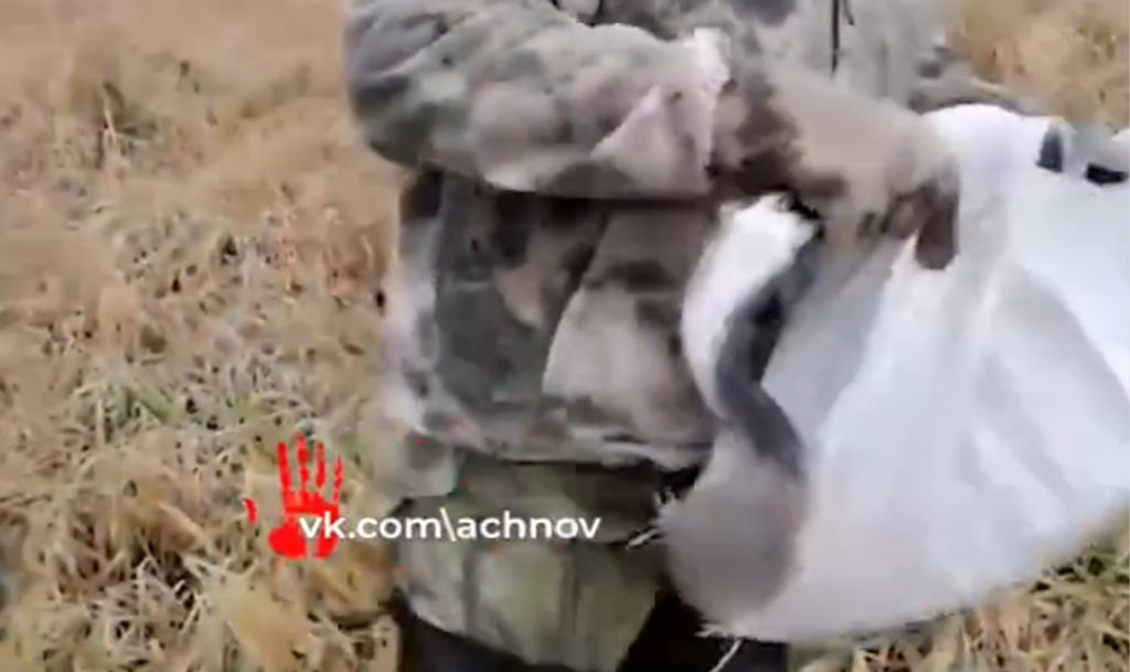 В Еткульском районе спасли травмированного журавля