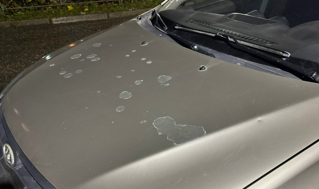 Кислотные дожди или кто может мстить автоледи?