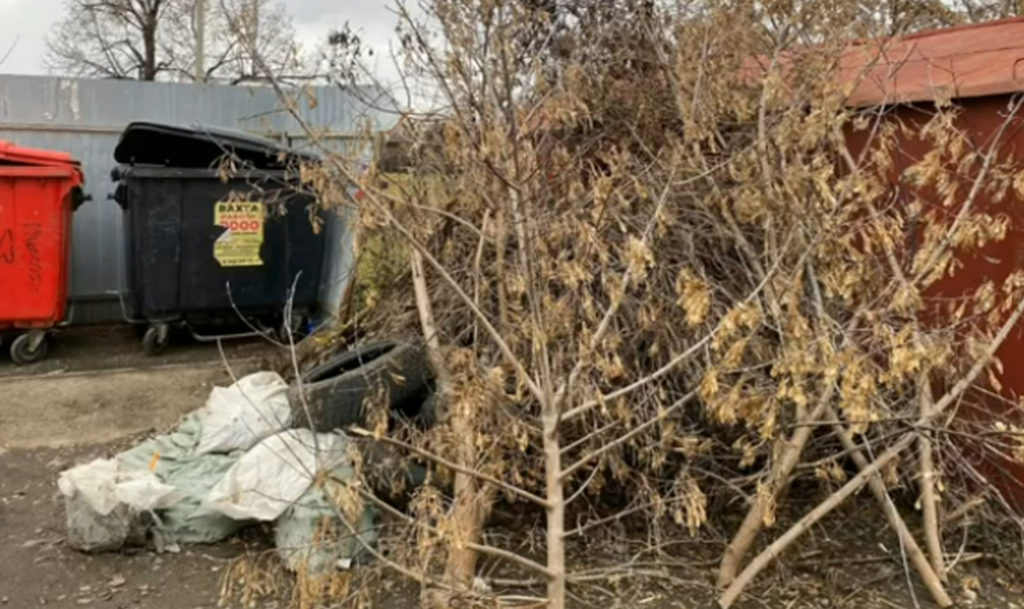 На Администрацию Аргаяша подали в суд за мусор