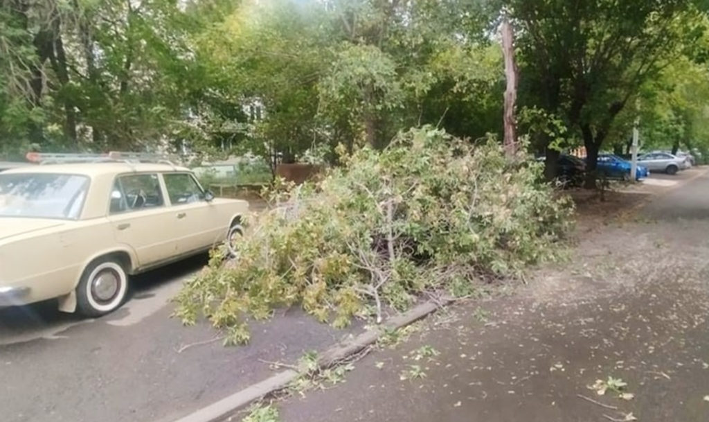 Прокуратура начала разборки в Магнитогорске, где больше месяца назад произошел деревопад