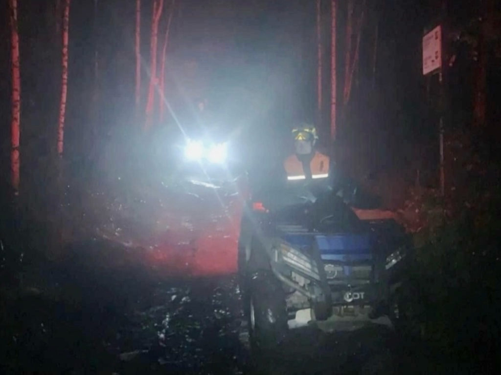 Лесные приключения: как не потеряться в поисках ягод