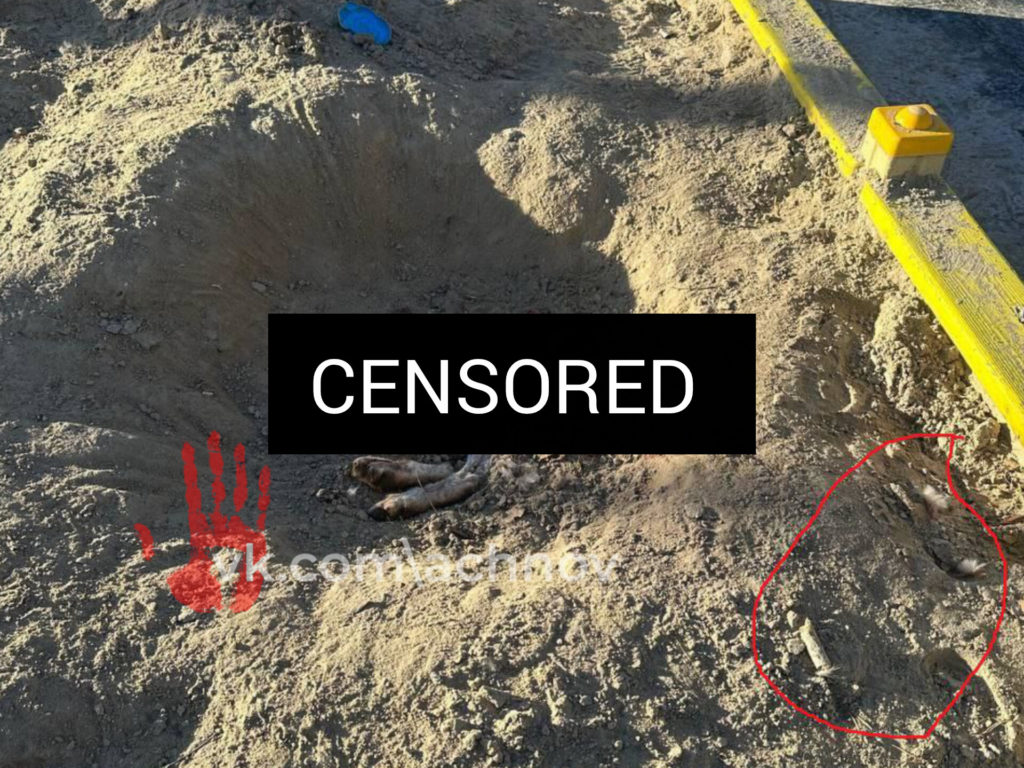 Обезглавленную собаку нашли в детской песочнице!