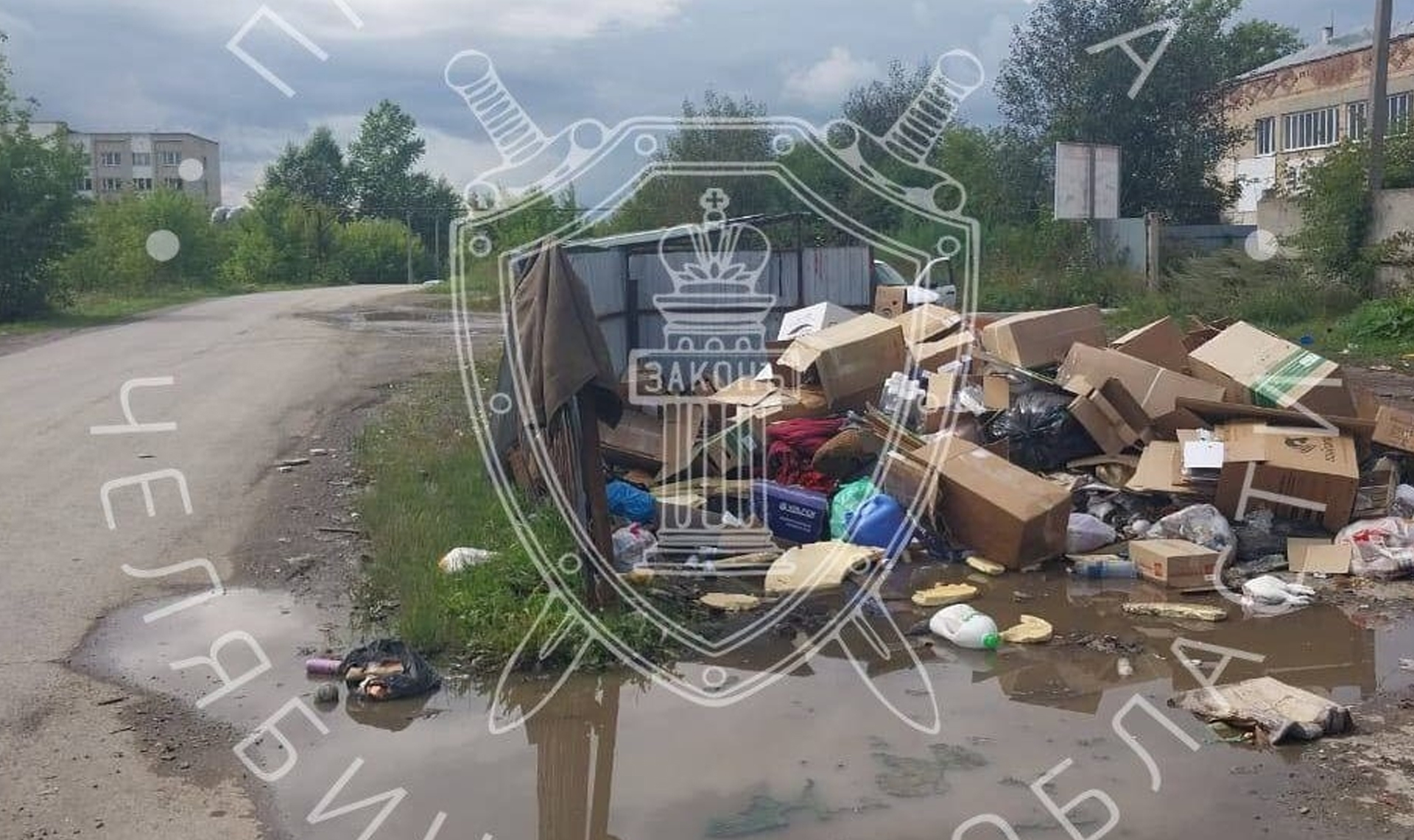 Жестокость на высоте: женщина из Усть-Катава предстанет перед судом за убийство кошки