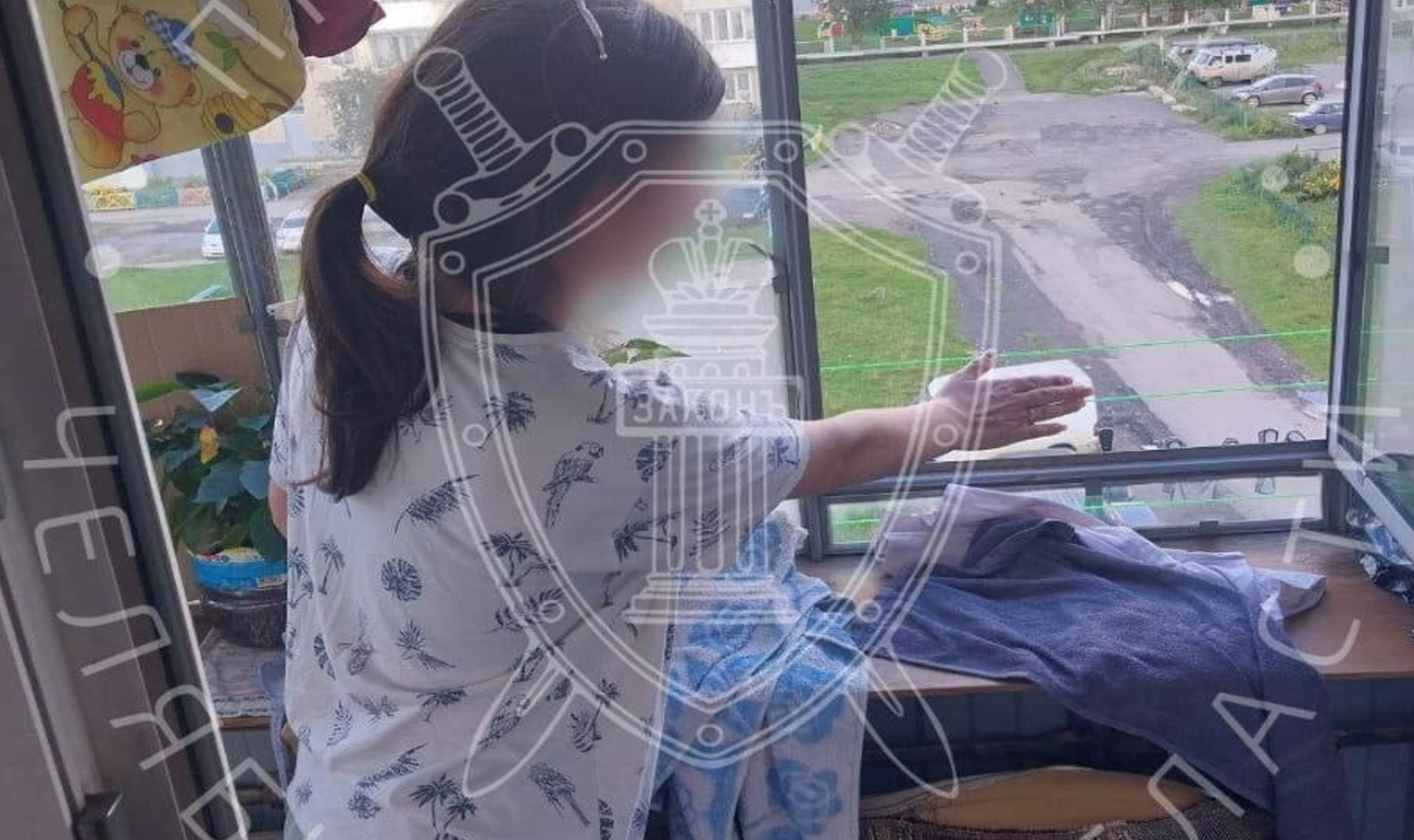 Жестокость на высоте: женщина из Усть-Катава предстанет перед судом за убийство кошки