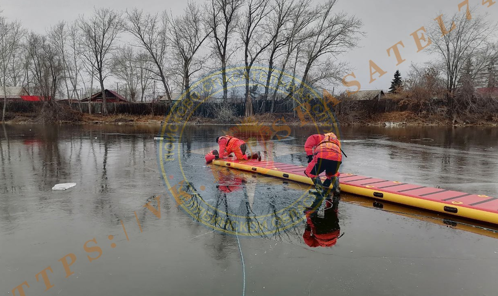 Лебедь на свободе, гусь в безопасности: спасательная операция на водоёме
