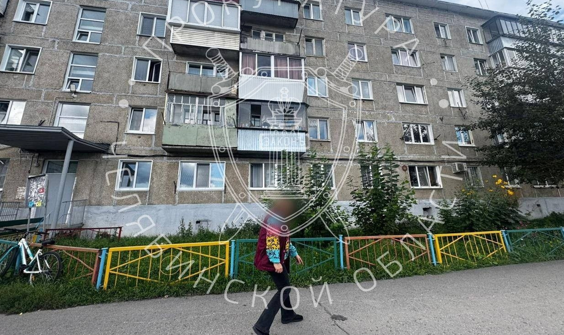 Жестокость на высоте: женщина из Усть-Катава предстанет перед судом за убийство кошки