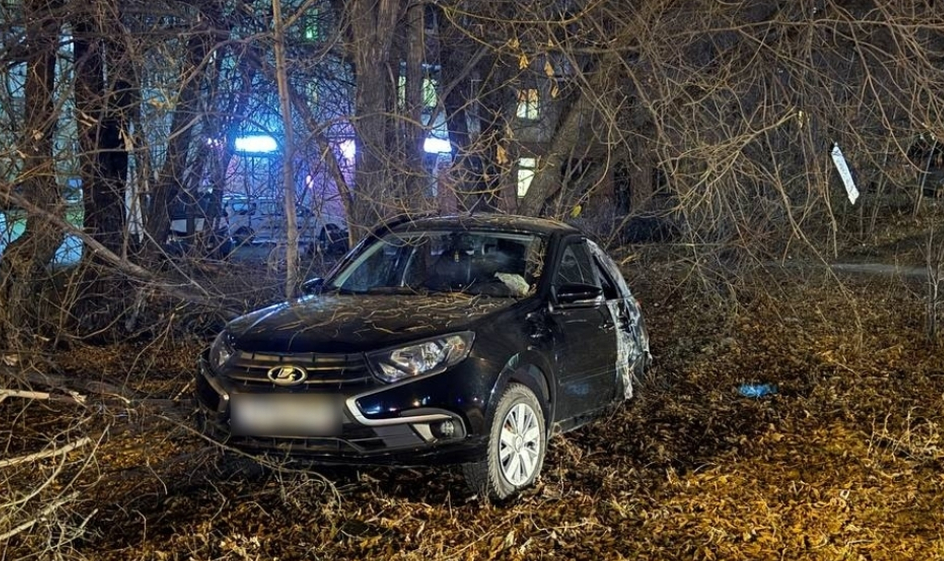 Протаранил дорожный знак и врезался в дерево!