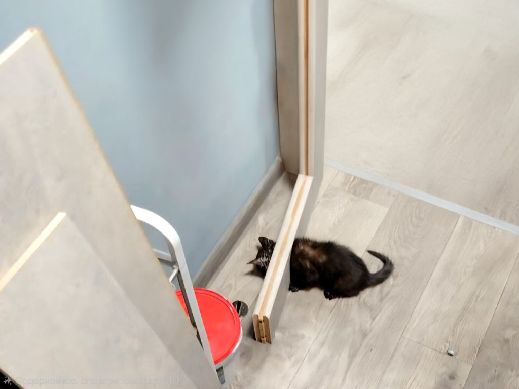 Пришлось распиливать! Кот застрял в дверной вентиляции 