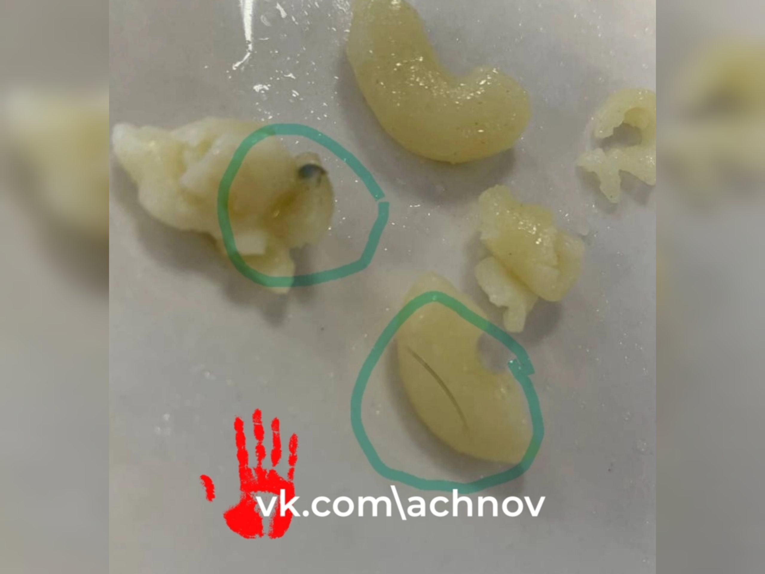 "Приходите и следите сами!" Челябинка пожаловалась, что в школе детей кормят макаронами и хлебом с плесенью