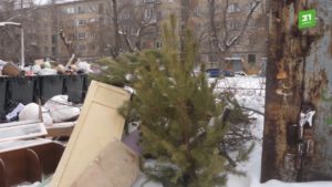 Елки на мусорке
