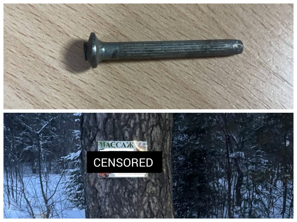 Гвоздь в сердце леса: зачем повреждают деревья?