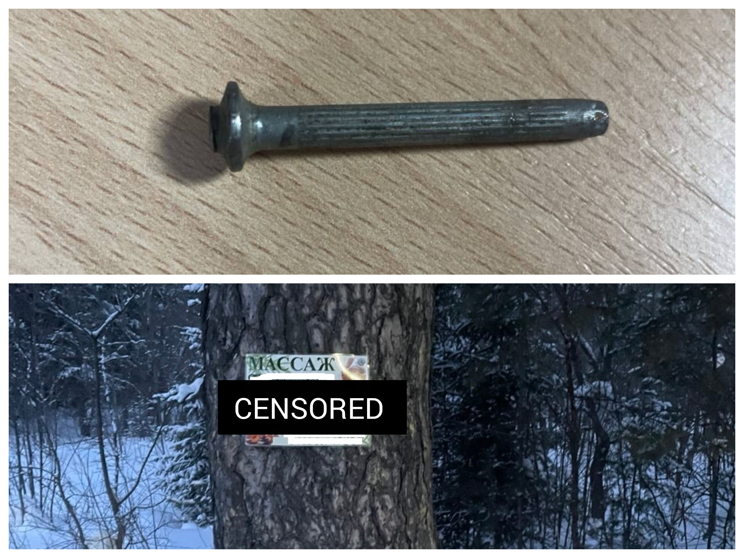 Гвоздь в сердце леса: зачем повреждают деревья?