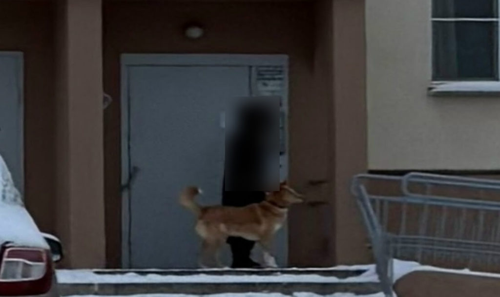 Инцидент с нападением собаки в Челябинске