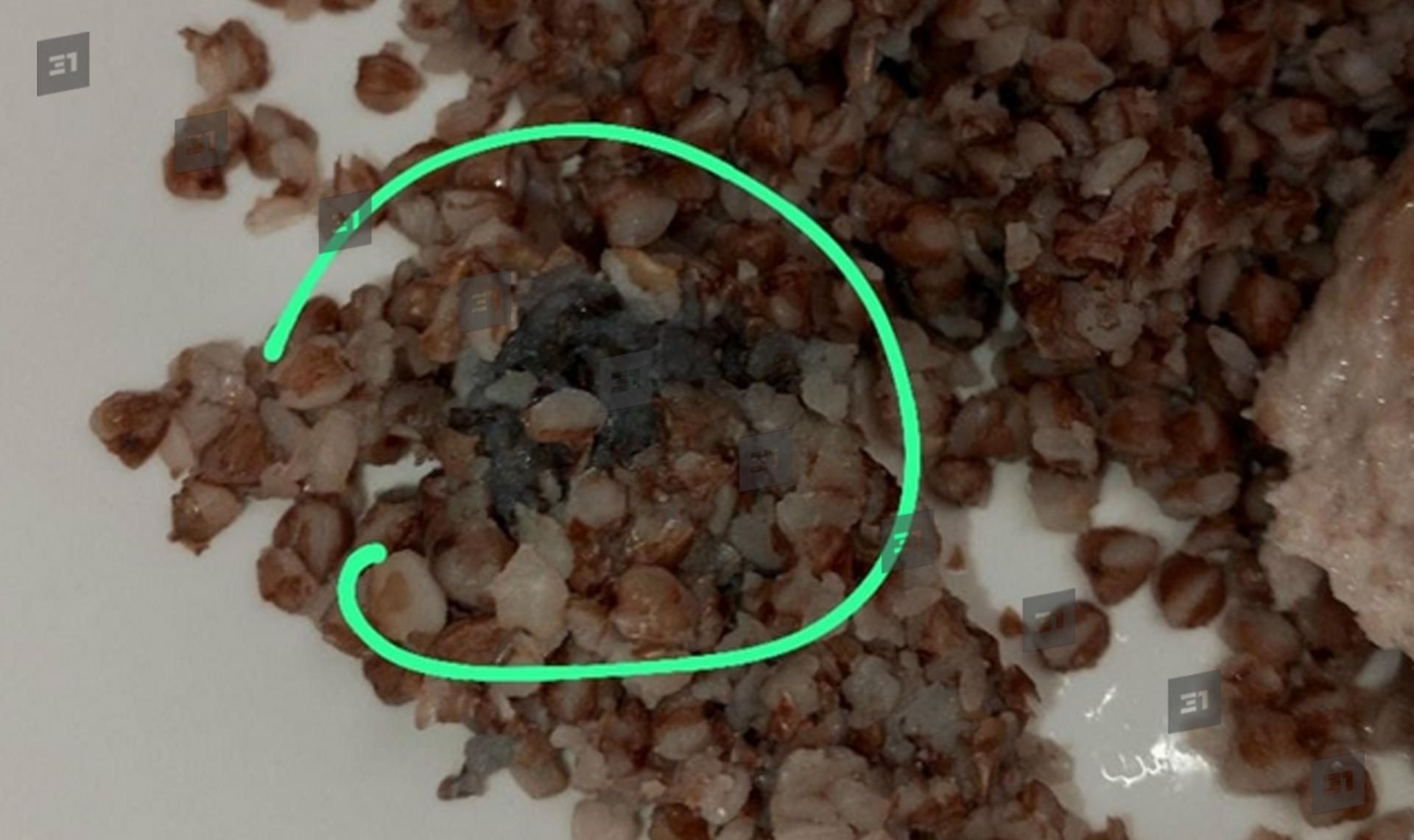 Гречка с плесенью и грязной ложкой - экзотическая кухня одной из школы Челябинска