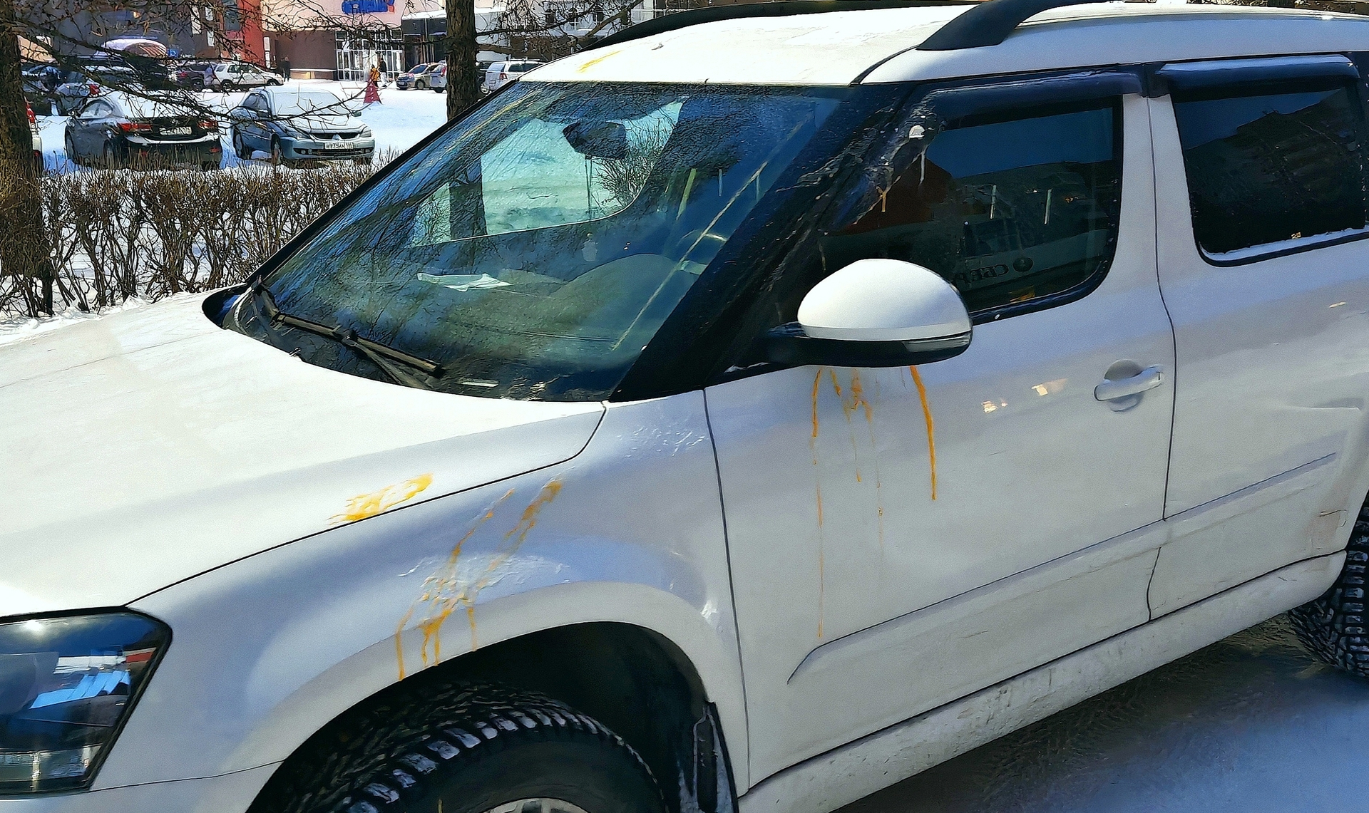 Отмывать иномарку от желтка теперь предстоит водителю из Озерска