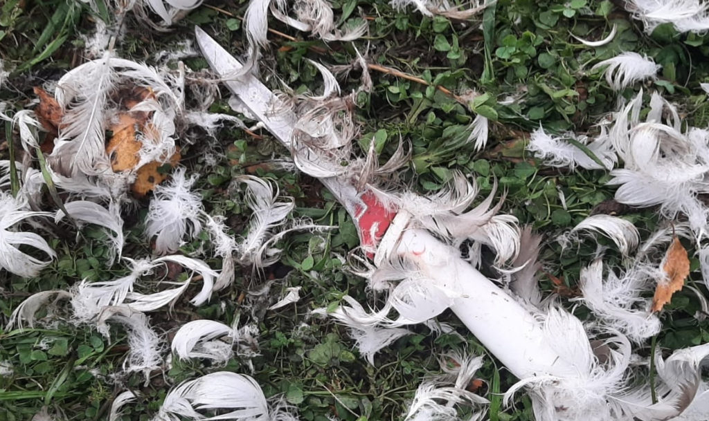 Убил и съел!