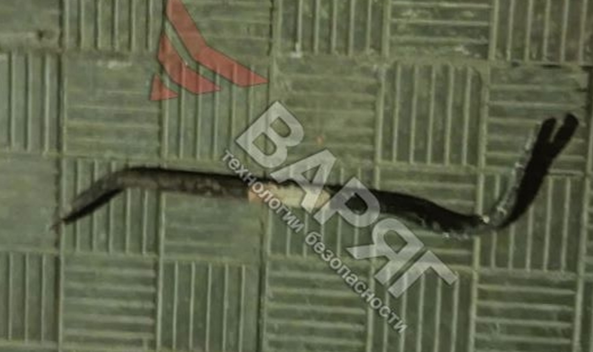 Ночной рейд пьяного грабителя закончился провалом