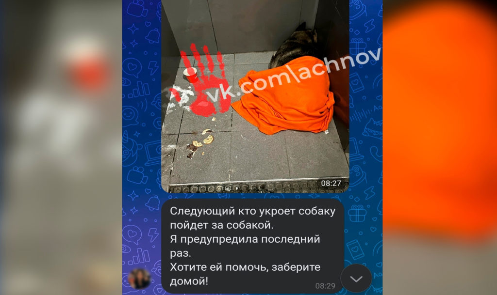 Управляющая пиццерии уволилась после массовых угроз из-за истории с курьером и собакой