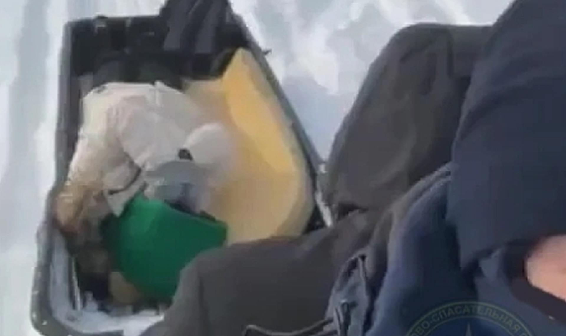 Приятная прогулка обернулась травмой спины!