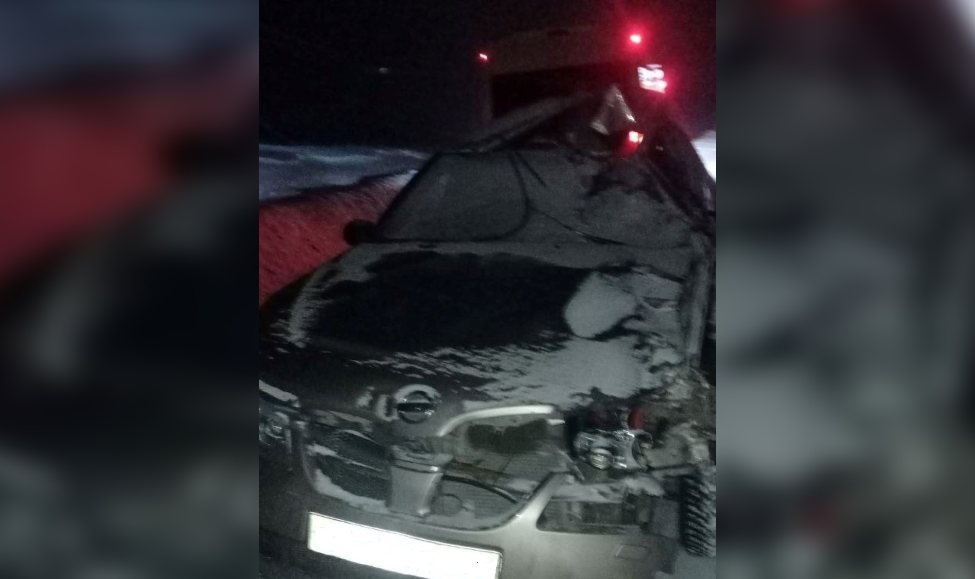 Машина влетела в лошадь на трассе. Водитель и пассажиры в шоке!