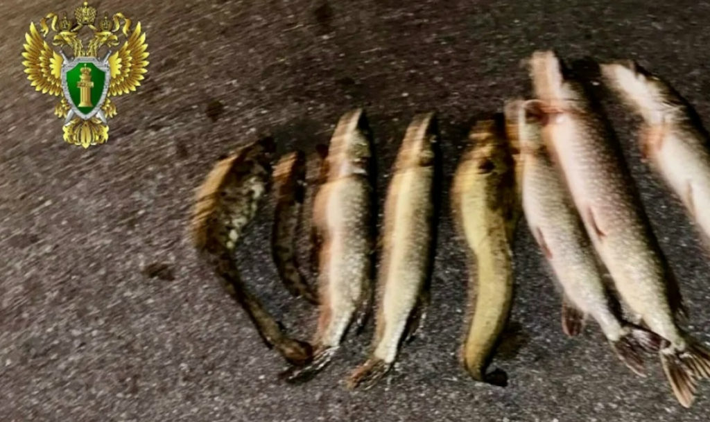 Двух жителей Сатки будут судить за ловлю рыбы незаконным способом в заповеднике Зюраткуль