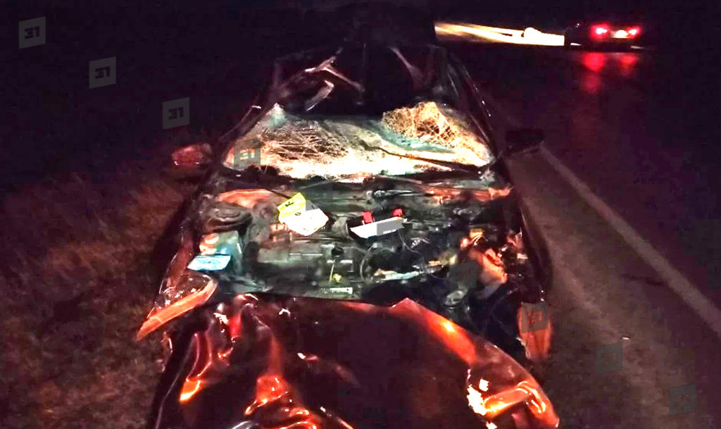 Лошадь и машина столкнулись в Чесменском районе