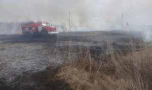 Огонь реально угрожал домам! В поселке Харино загорелось поле сухой травы