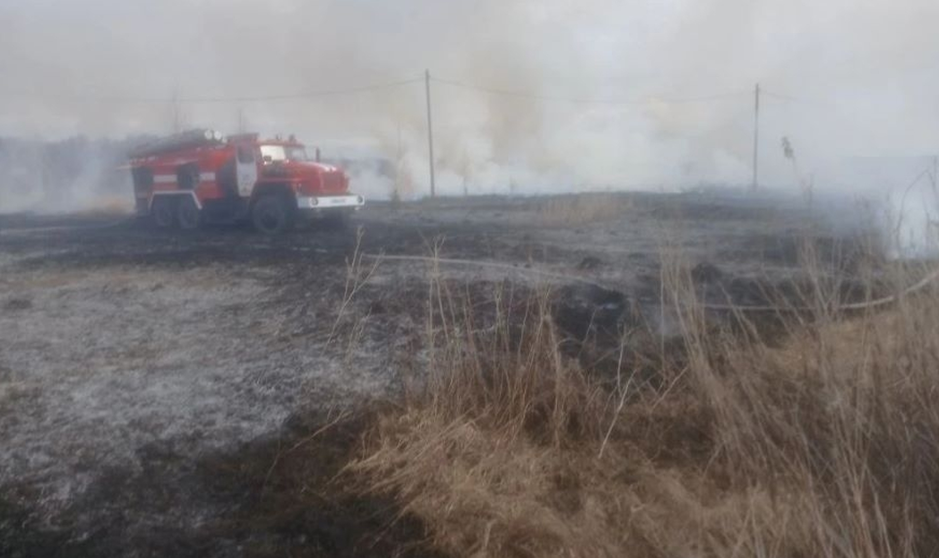 Огонь реально угрожал домам! В поселке Харино загорелось поле сухой травы