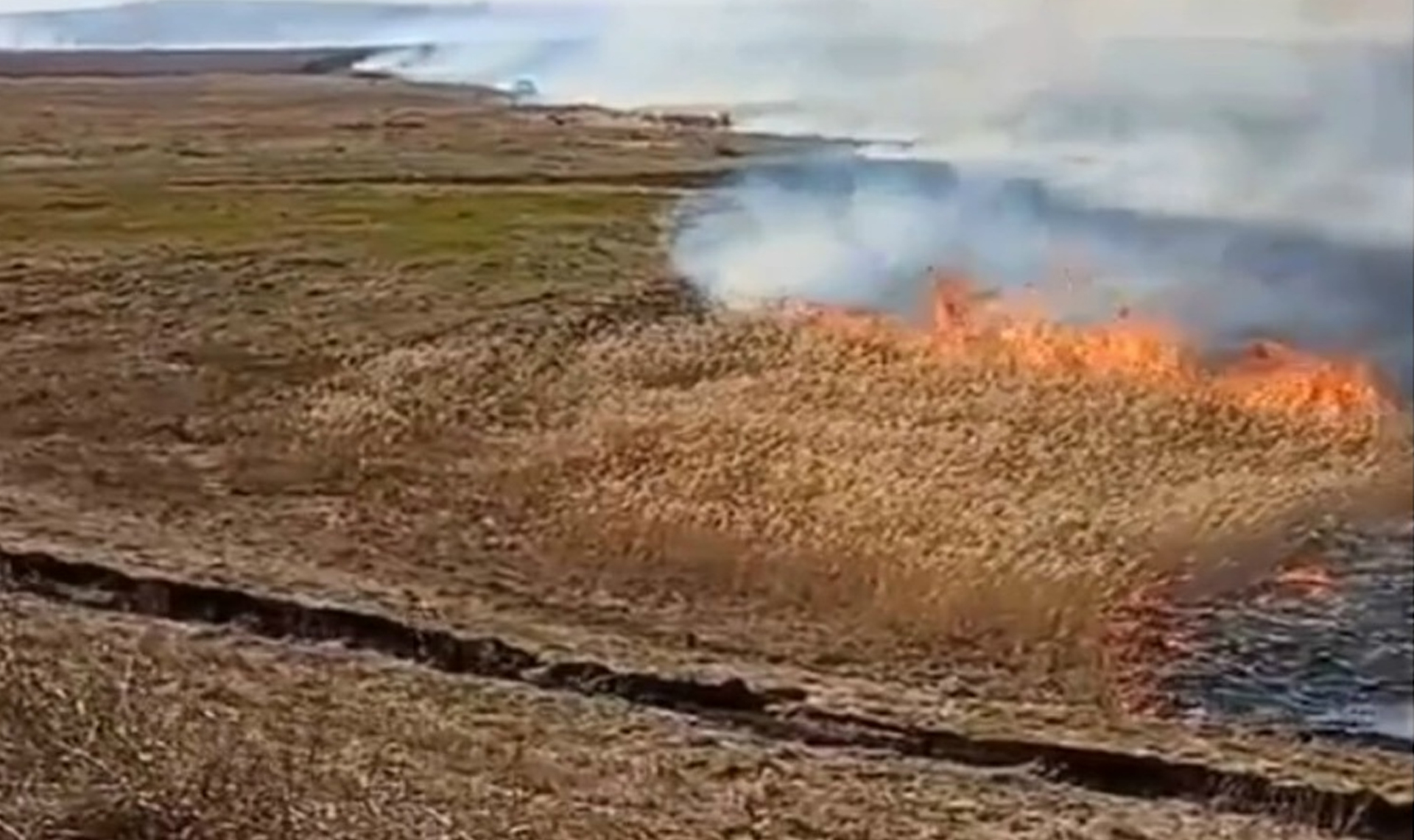 Целое село могло сгореть в Челябинской области