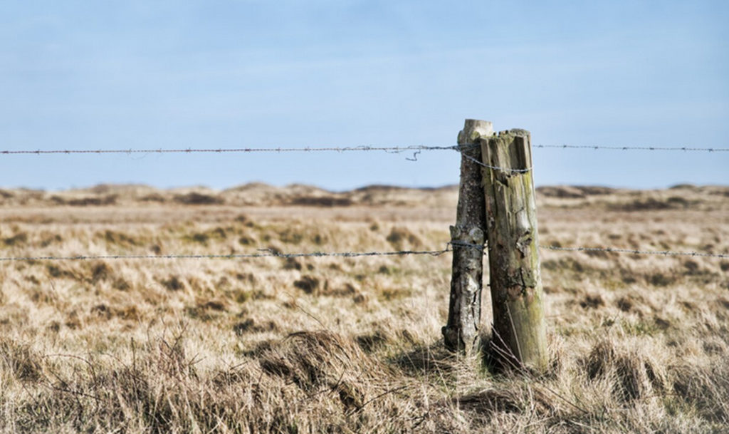 Что бывает за незаконное пересечение границы России?