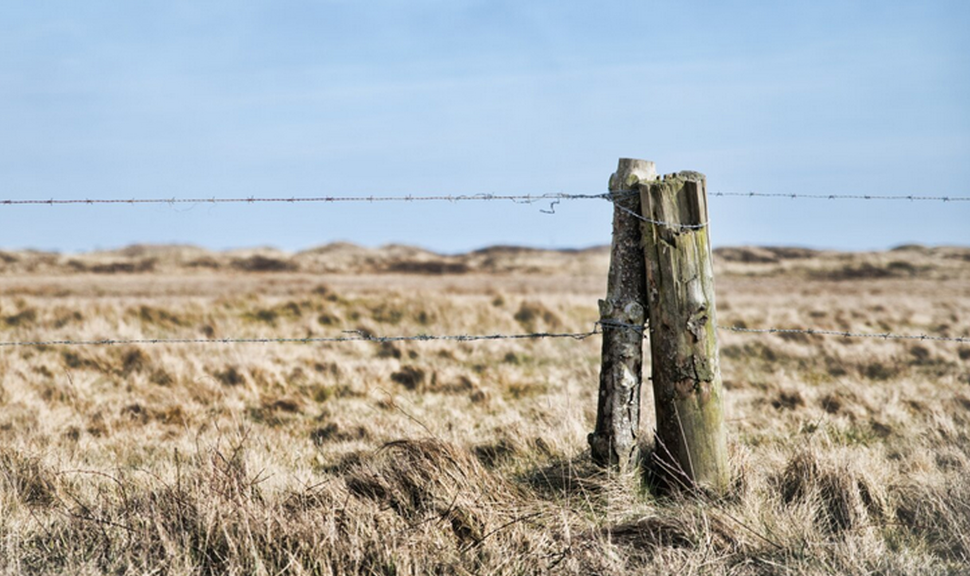 Что бывает за незаконное пересечение границы России?