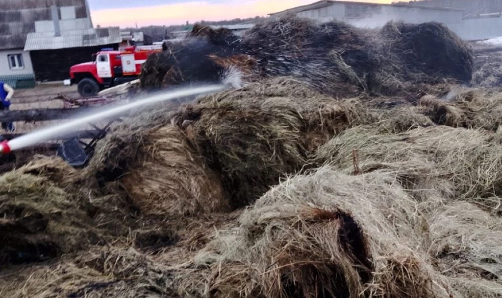 Дети чуть не спалили дом многодетной семьи из села Усть-Багаряк