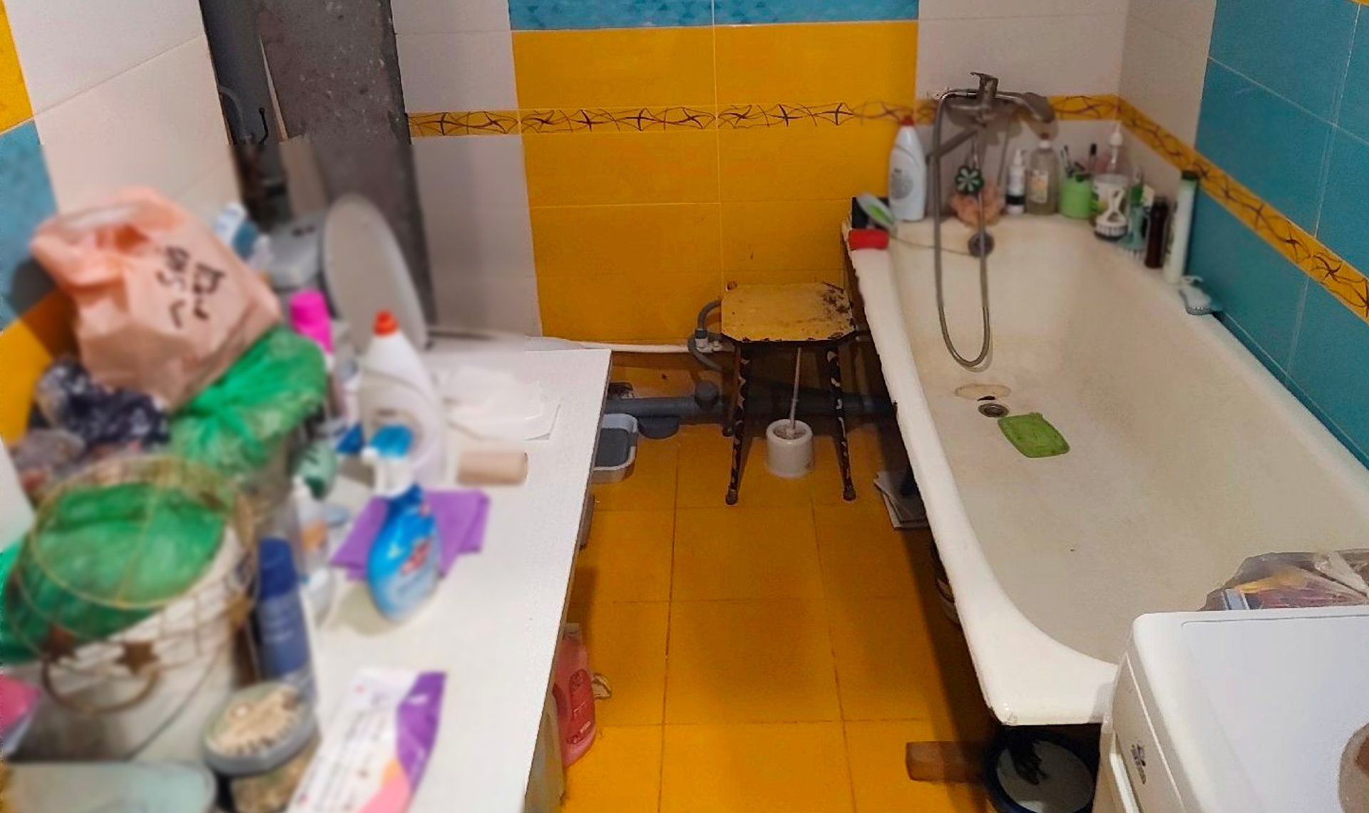 Семь хвостов и бетонные стены: как в Челябинске выселяли должницу, бросившую кошек