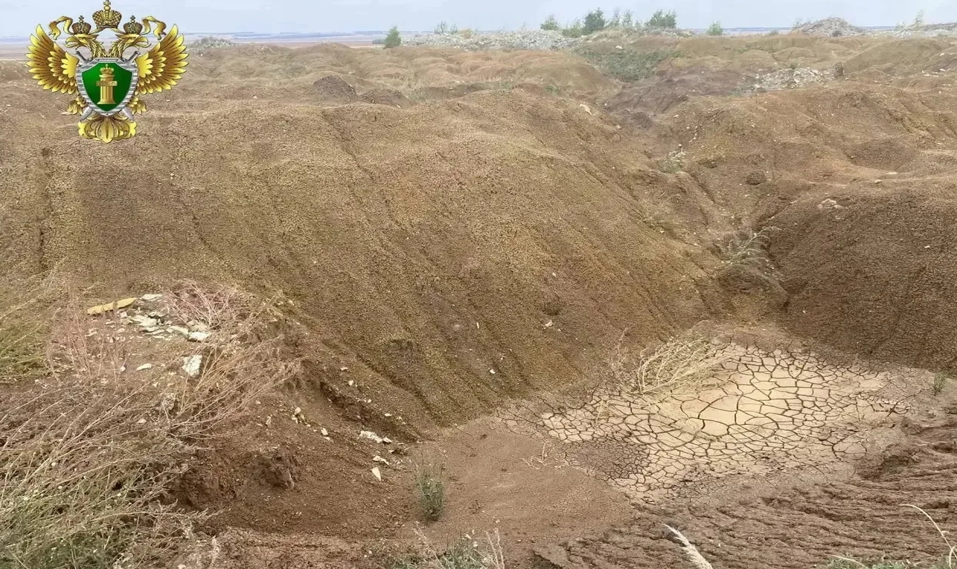 Собственник земли в Чесменском районе попал под суд за работы на участке