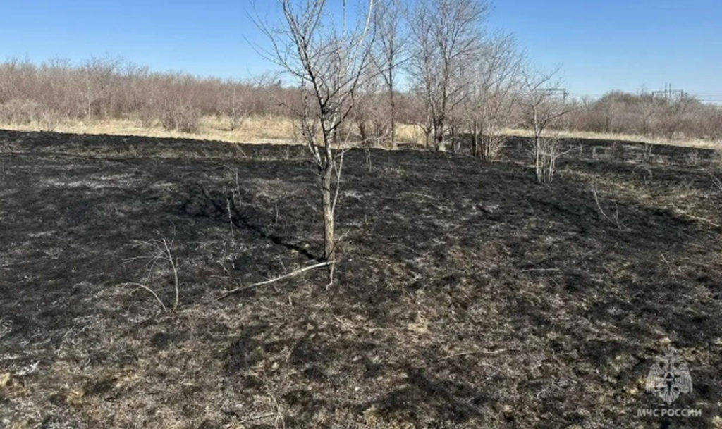 Первый крупный пал сухой травы произошел в Троицком районе