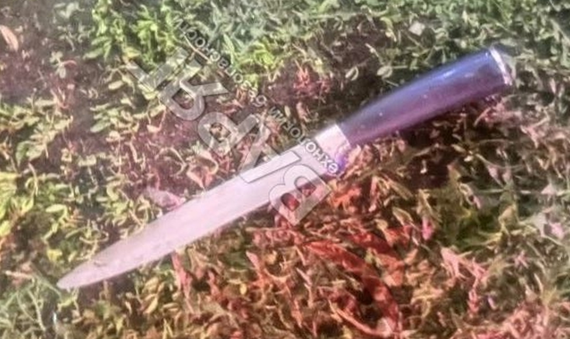 Вооруженного дебошира пришлось утихомиривать в Челябинске