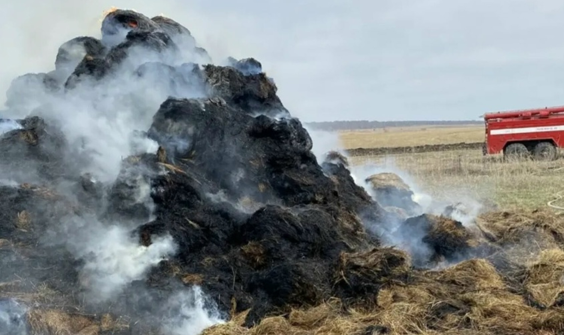 10 тонн сена превратились в пепел!