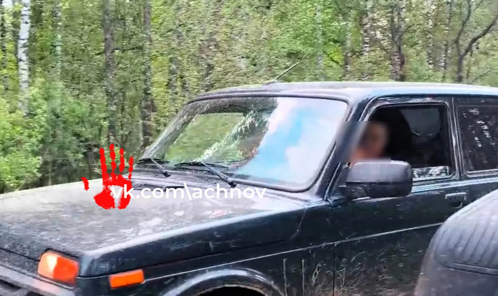 За кислицей с приключениями