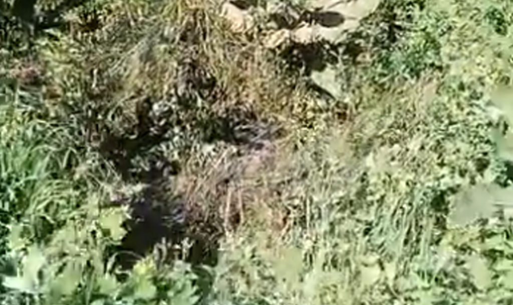 Провода замкнуло, искры посыпались на траву!