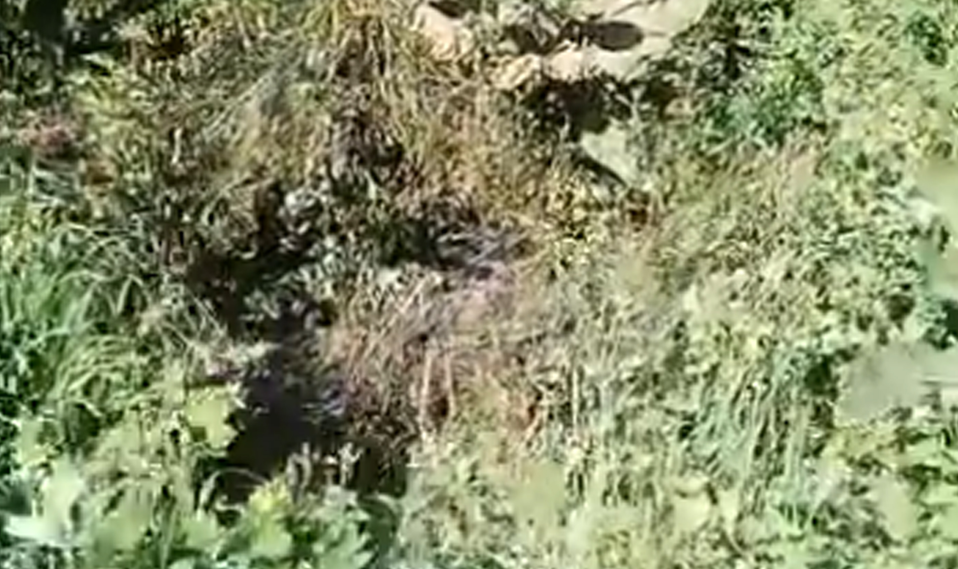 Провода замкнуло, искры посыпались на траву!