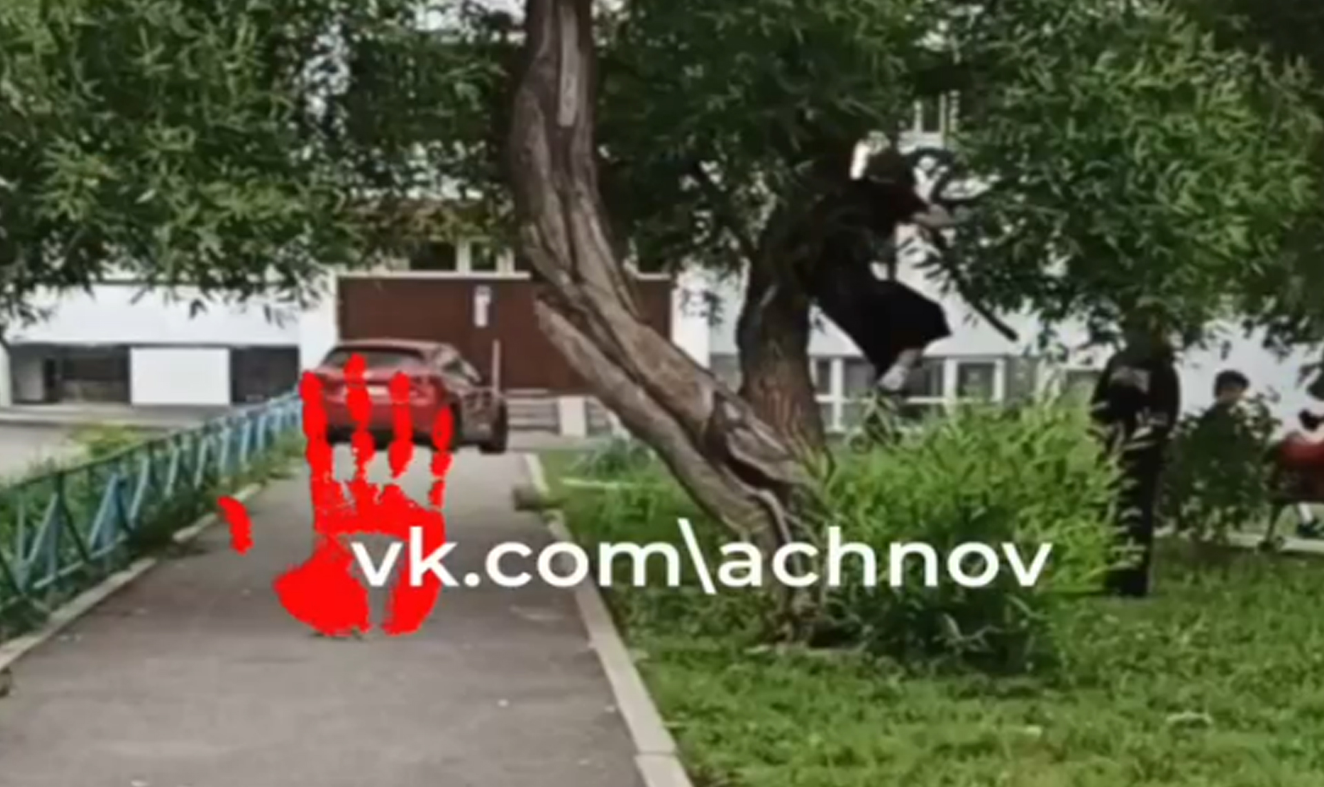 Ничего не боятся: в центре города компания зацеперов устроила дебош и пыталась взломать подъезд