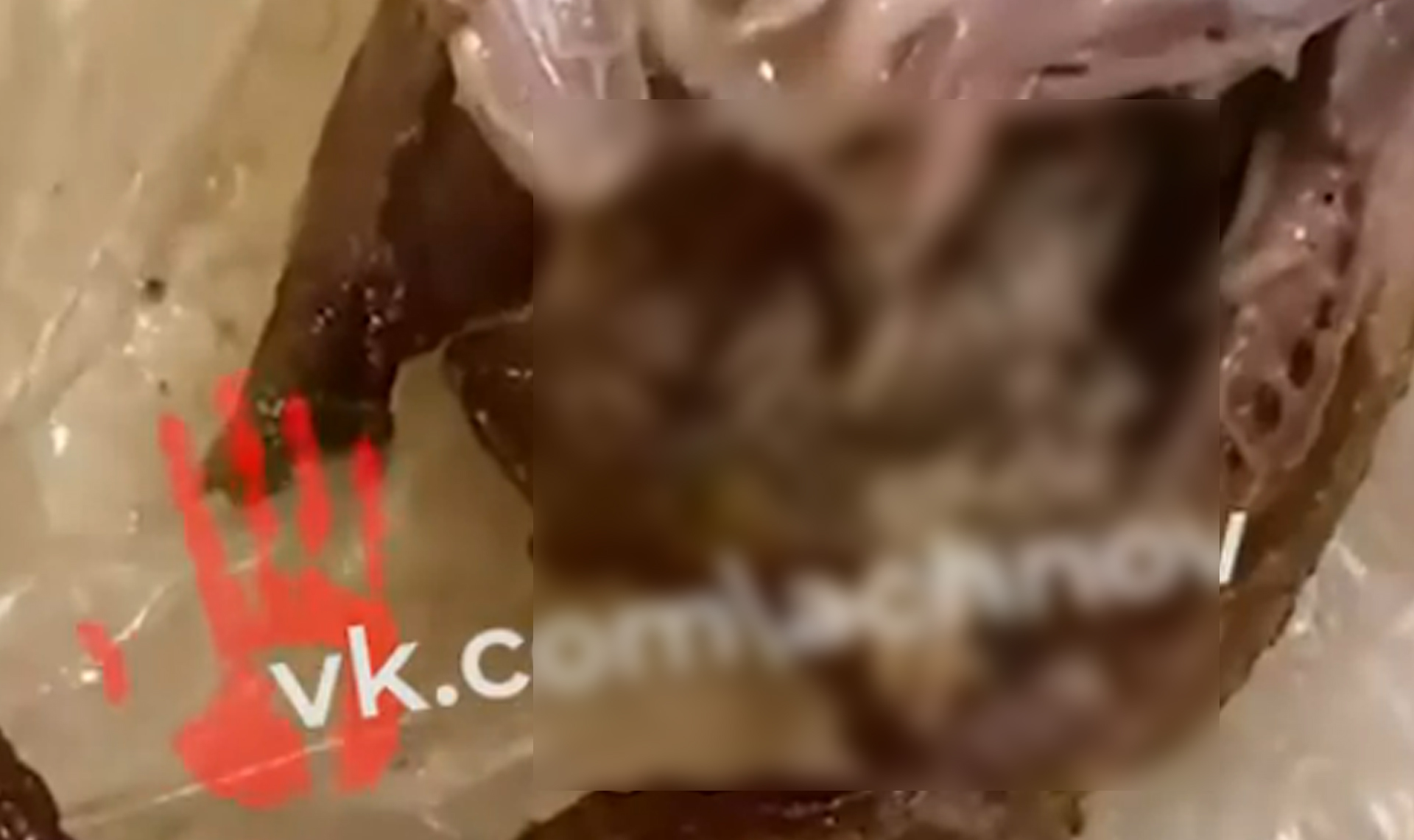 Таково в птице она еще не видела! Челябинка купила червивую перепелку