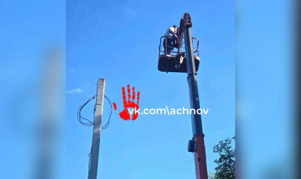 Полдня просидела на дереве! В Троицке инспектор ГАИ спас кошку