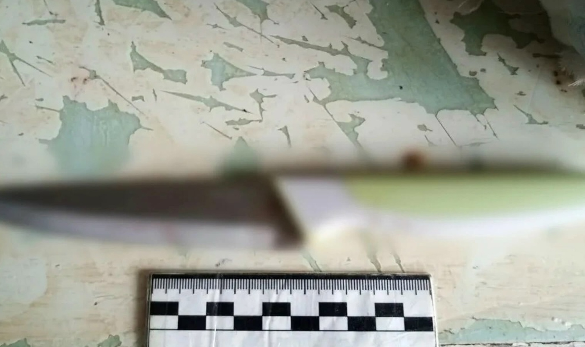 Женщину, которая недавно в Чебаркуле заколола своего сожителя, готовы судить