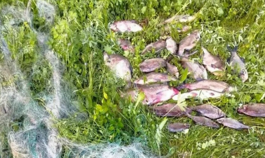 В Снежинске завершилось расследование дела о незаконной рыбалке на озере Синара